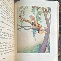 L. Frank Baum The Lost Princess of Oz Oz Series HC Illus Neill Reilly & Lee 1917