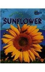 Life of a Sunflower Hardcover Clare Hibbert