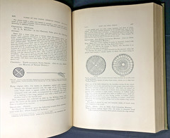24th Annual Report of the Bureau of American Ethnology 1902-1903 XLibrary