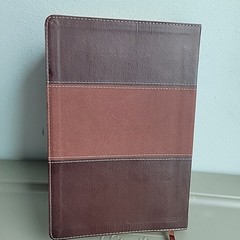 Biblia Reina Valera Revisada RVR Bilingual Bible NKJV Gold Leather NELSON