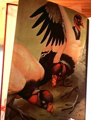 OLD 1964 : James Fisher and Roger Tory Peterson : The World Of Birds No 232 Sign