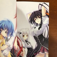 High School DxD Art Book Miyama Zero Art Works Illustration
