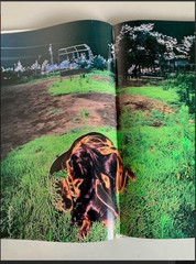 Tokyo Nude by Kishin Shinoyama Hardcover Japanese Photography Book 1990