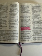 Christian Life Bible Burgundy Genuine Leather Leather NKJV
