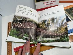 Set of 6 Dinosaur World Books Robin Birch Ex-Lib Teacher Homeschool Reading