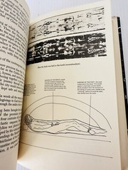 Ian Wilson The Shroud of Turin 1978 Hardcover Religious History Illustrated