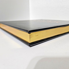 NATIONAL GEOGRAPHIC The Photographs, Luxury Edition Padded Gold Gilded Cover