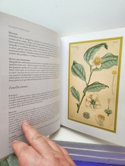 Herbal The Essential Guide to Herbs for Living Hardcover By Deni Bown 2001
