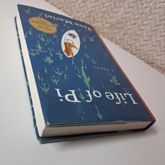 Life Of Pi A Novel Yann Martel Harcourt Blue HC DJ First Edition 2001 USA