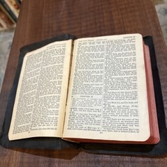 Holy Bible Pronouncing National Bible Press Undated Leather Antique