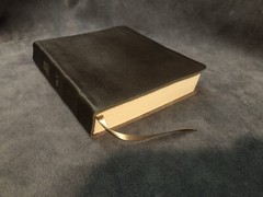 One Year Nlt New Living Translation Expressions Bible Brown Leather Journaling