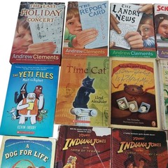 Early Chapter Books Boys Interest Lot of 26 Grade 3-6 Vintage & Modern