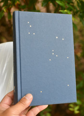 Dog Stars Peter Heller  Hardback: 2012 First Edition Publisher: Borzoi