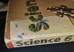 BJU Press General Science 6 6th Grade 4th Edition Student Textbook ONLY