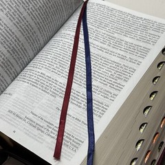 NIV Bible English/Korean Study Bible Brown Zipper-Red Letter Word of Life Press