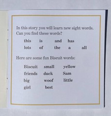 Biscuit Phonics Childrens Books Fun Learning Learn to Read I Can Read Lot 24