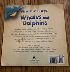 Flip The Flaps: Whales and Dolphins – Paperback By Allen, Judy – GOOD