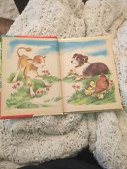 Farm Animals elf book