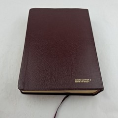 The Quest Study Bible New International Version Bonded Leather Large Print