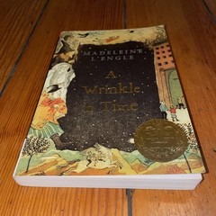 A Wrinkle In Time by Madaleine L’Engle (2007 Square Fish Trade Paperback)