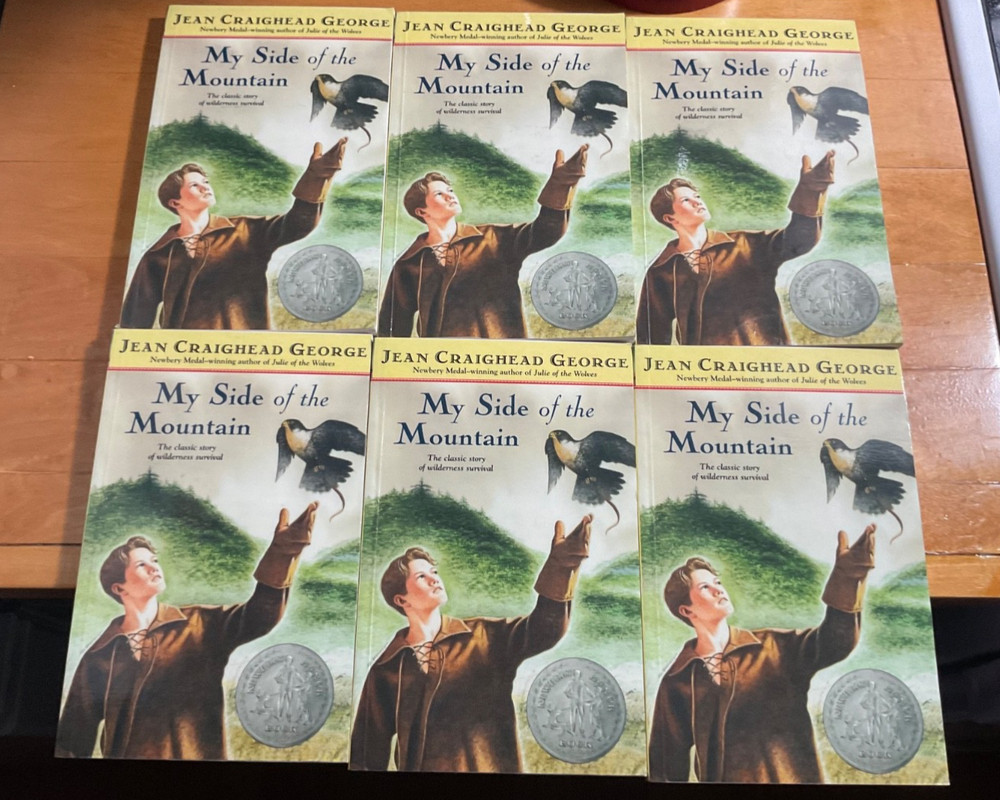 My Side of the Mountain-Six (6) Paperback-Trade Books-Jean Craighead George