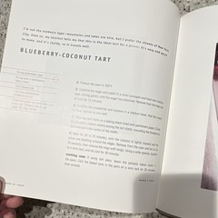 Maury Rubin Book of Tarts Bakery Cookbook HC DJ Illustrated 1995 1st Ed