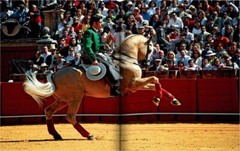 SEVILLA ARTE – NEW ASSOULINE TRAVEL BOOK for 2024 – IN STOCK, READY TO SHIP!