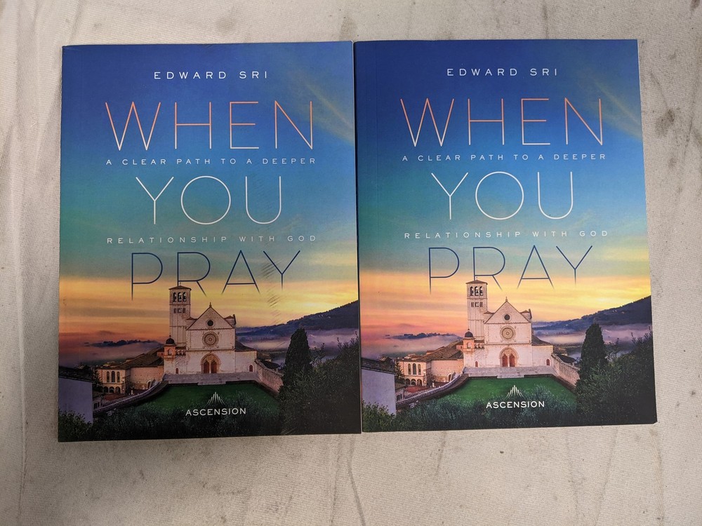 Ascension When You Pray Workbook Edward Sri Paperback 2023: Lot of 2