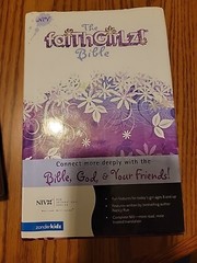 The FaithGirlz Faith Girls Bible – NIV – Hardback