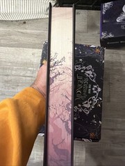 Page and wick A Dark Forgetting Kristen Ciccarelli Special Edition Signed