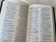 Bible NIV 1984 Thinline Forest Green Bonded Leather Double Column