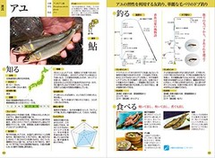 Fish & Fishing Guide 672 Pages: Species ID,Tackle & How to Clean (Japanese Book)