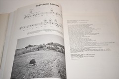 Rev. Gary Davis: The Holy Blues Robbins Music Corporation 1970
