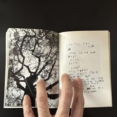 Mark Borthwick Photo Collection Margiela 15cm x 10.5cm