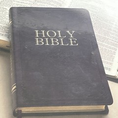 Purple KJV Gift Edition Bible Purple (Leather / Fine Binding) New