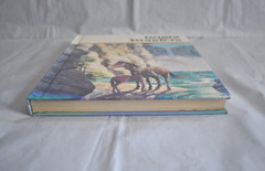 Bright Wonders Economy Reading Series 1986 Lv. K 3-2 Matteoni Sucher Klein Welch