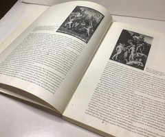 The Wild Man Medieval Myth And Symbolism Timothy Husband PB 1980