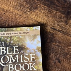 NLT Bible Promise Book for Tough Times by Ronald A. Beers (2011, Trade…