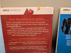 Vintage Horror Books Lot Scholastic Apple Chillers YA Kids Fiction 90s Series