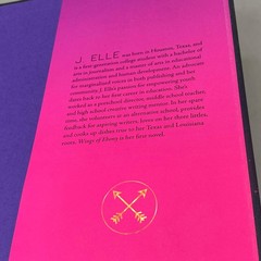 SIMON & SCHUSTER J. Elle; Wings Of Ebony Exclusive Edition 368 Pages