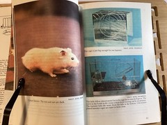 Know Your Hamster – Earl Schneider – 64 Pages -Pet Library No 754 -Free Shipping