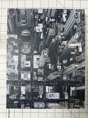 Chicago Trope City Edition Vol 1 HC by Sam Landers & Tom Maday Urban Photography