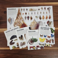 DK Smithsonian The Picturepedia 10 Book Set 5 Posters Homeschool Educational