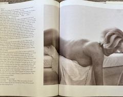 The Last Sitting Bert Stern – Marilyn Monroe 1982 William Morrow & Company
