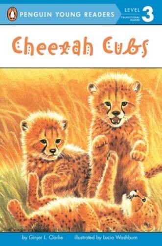 Cheetah Cubs (Penguin Young Readers, Level 3) – Paperback – VERY GOOD