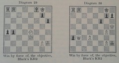 My System A Chess Treatise by Aron Nimzowitsch G. Bell and Sons, LTD 1961