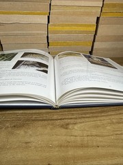 American stoneflies: A photographic guide to the Plecoptera by Bill P. Stark