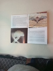 $3.45 – Discover New Zealand, booklet, Wild Animals of New Zealand