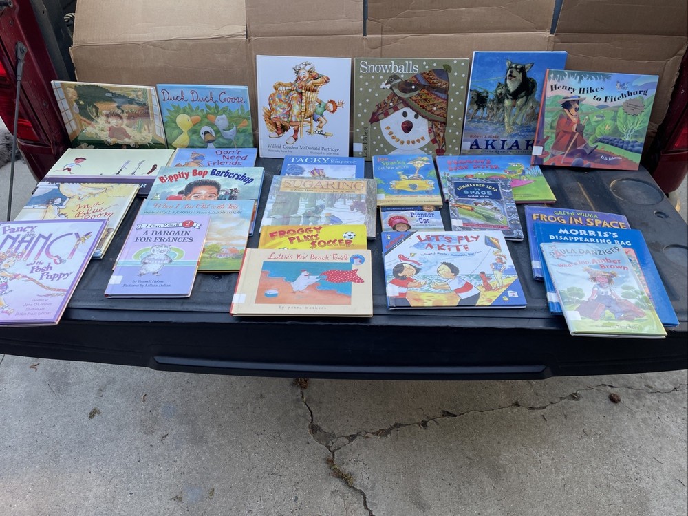 25 AR Accelerated Reader Titles – Reading Levels 2.1-2.9 Labeled & Ready!(4)