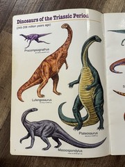 AMAZING DINOSAURS Giant Picture Gallery Book (1992, Ed. Insights, EI-3313) RARE